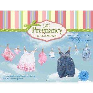 Revolution of Love Blog - Gift Ideas for A Catholic Mom-to-Be (baby_calendar_1)