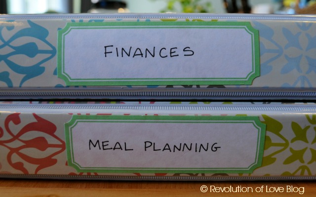 Revolution of Love Blog - planner_meal_1