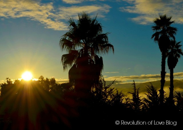 Revolution of Love Blog - 80a1