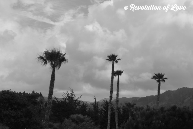 Revolution of Love Blog - restore_1d