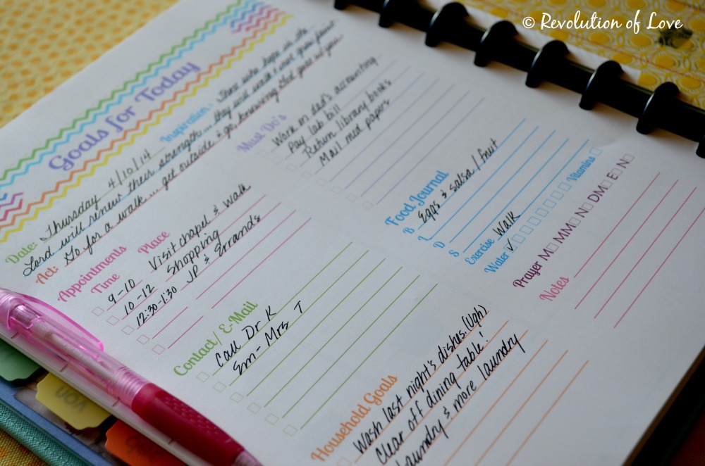 Revolution of Love Blog - dil_planner_1o