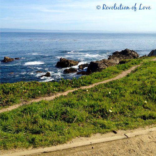 Revolution of Love Blog - dil_walk_1d