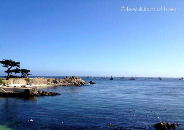 Revolution of Love Blog - cwa_ocean_6_2_14