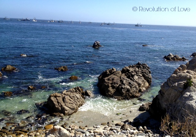 Revolution of Love Blog - cwa_ocean_6_2_14b