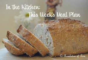 Revolution of Love Blog - logo_meal_plan